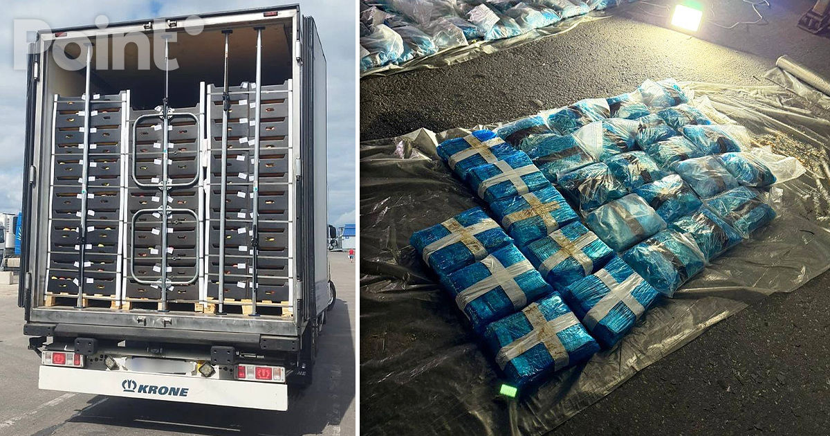 Un lot de fructe din Moldova care conținea 300 kg de droguri, reținut în regiunea Moscovei.