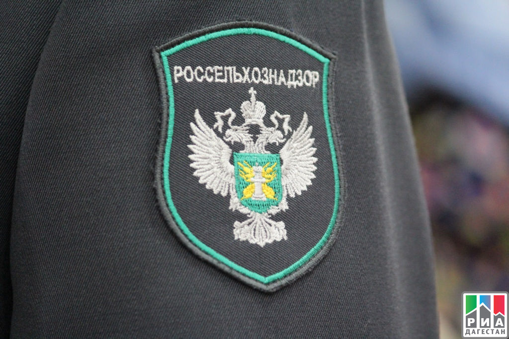 Россельхознадзор выявил сотни тонн зараженной продукции, в том числе из Молдовы.
