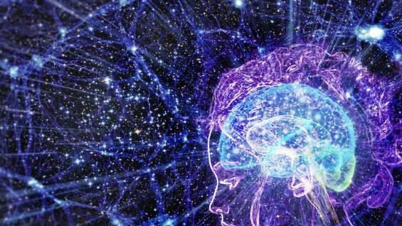 Квантовую компьютерную симуляцию жизни создали ученые из Университета Страны Басков (Испания). 