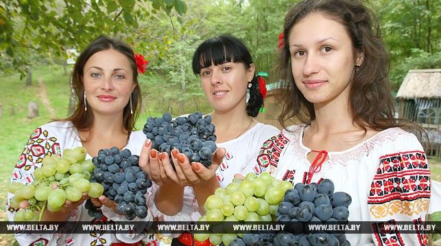 Фестиваль проходит в рамках года Молдовы в России.