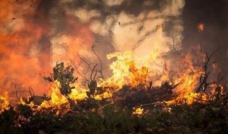 Incendii de vegetaţie în Mallorca.