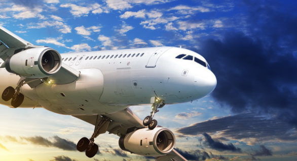 Ce se poate întâmpla când un avion lovește o pasăre