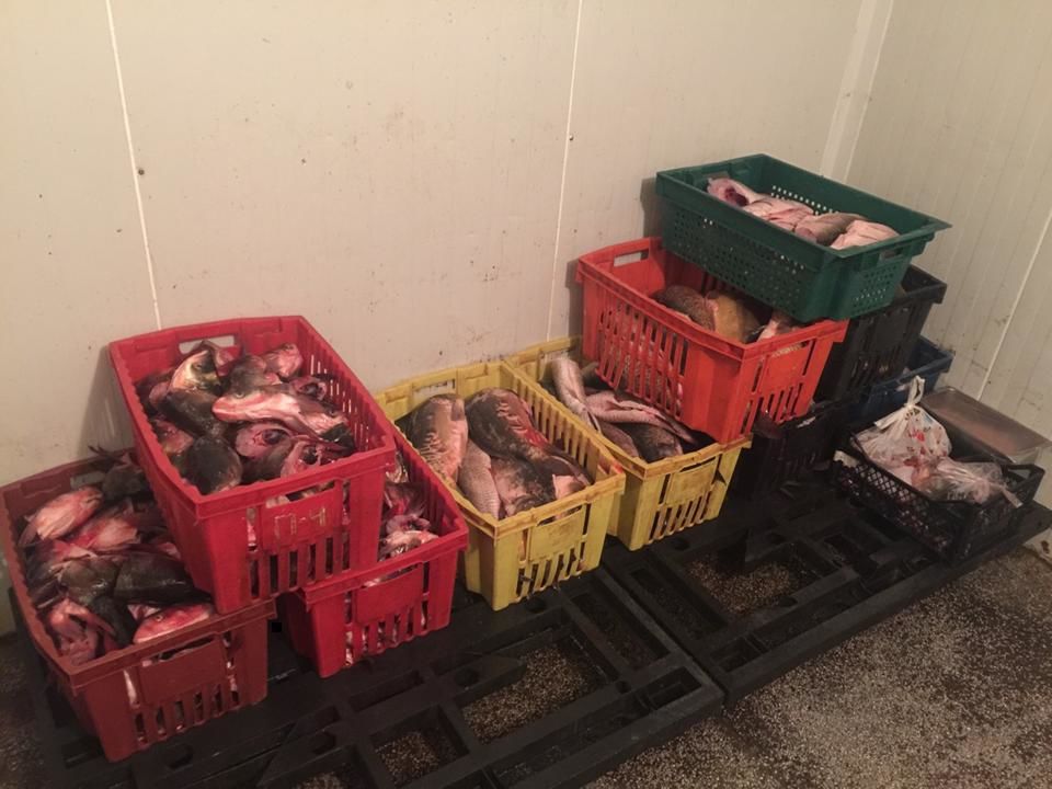 Condiţii antisanitare şi neregulile depistate la o întreprindere. Foto: politiacapitalei.md