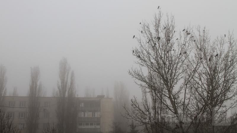 В Бельцах концентрация диоксида азота в воздухе превысила норму. 