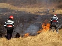 Pompierii au mai intervenit pentru a stinge focarele de vegetație uscată