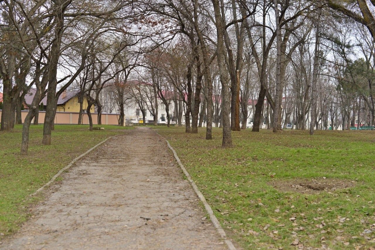 Начались работы по восстановлению сквера Рэзешилор в микрорайоне Старая Почта.