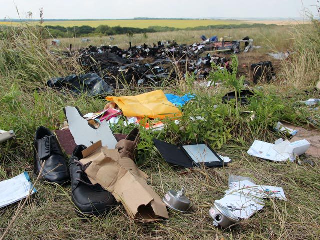 По данным голландского телеканала NOC, в миссии 20 судмедэкспертов и 40 военнослужащих. Фото: Global Look Press