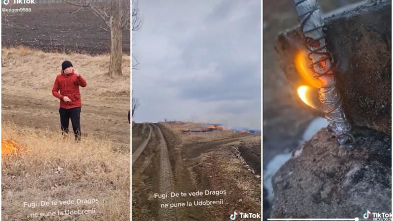 Молодые люди выложили в Tik-Tok видео, как они поджигают растительность.