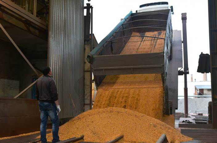 Noile prognoze estimează un record la producția globală de cereale 