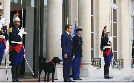 Emmanuel Macron și-a luat animal de companie.
