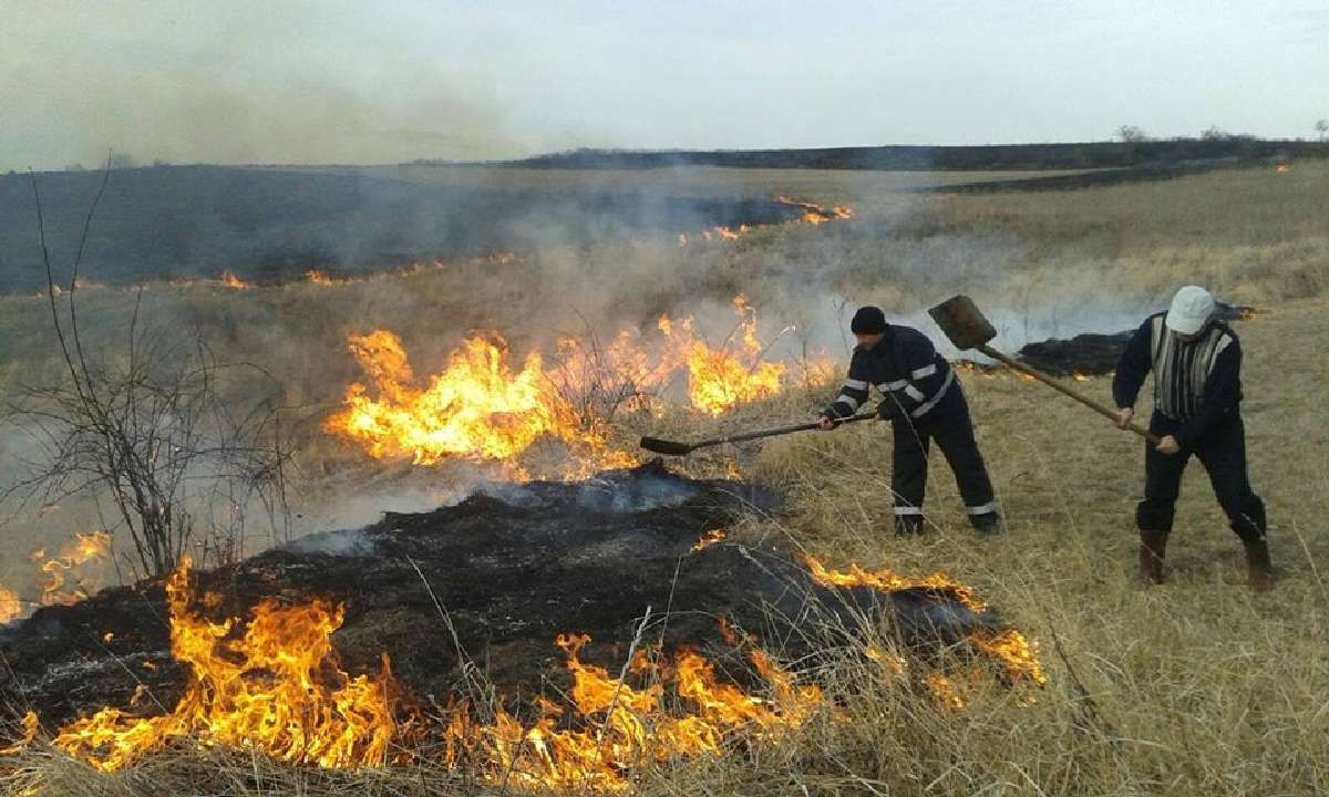 Штрафы за поджоги растительности и мусора достигли 1,25 млн леев.