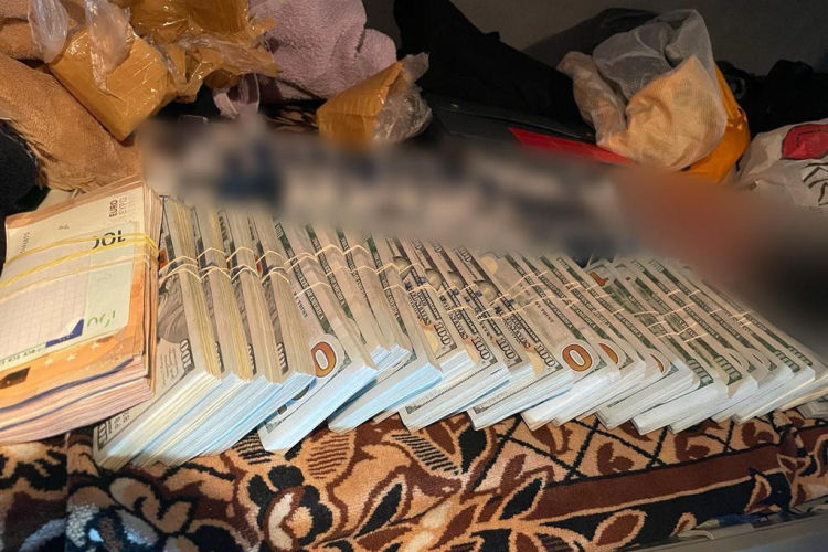 Около $240 000 и €8000 были обнаружены на таможне в грузовике.