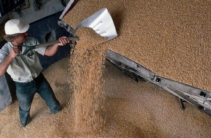 Аграрии ждут инвестиций государства на рынке зерна.