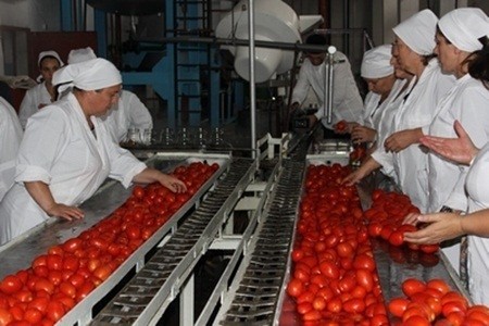 Embargoul impus de Federaţia Rusă pentru produsele moldoveneşti de conserve nu a trecut fără urme pentru fabricile din ţară.
