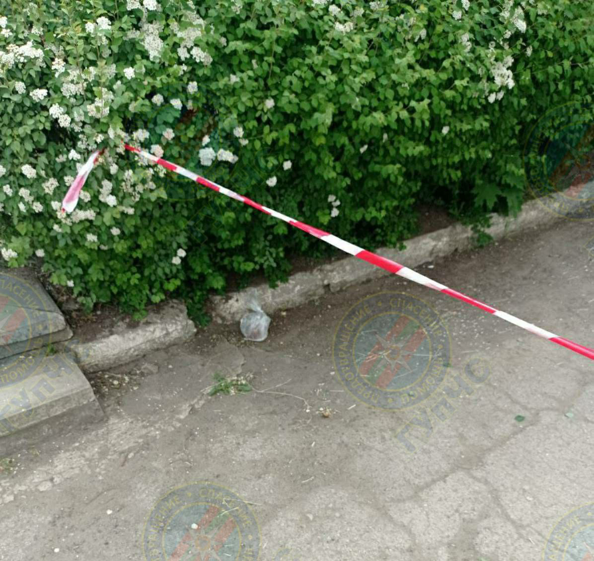 В Днестровске обнаружили ртуть.