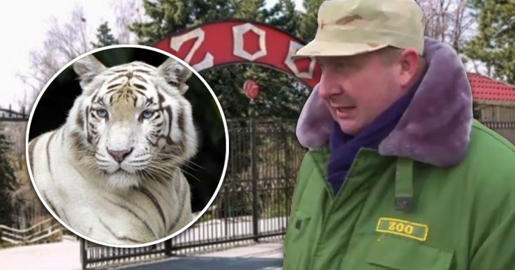 Директор зоопарка Алексей Ханцацук отметил, что в случившемся виноват человеческий фактор.