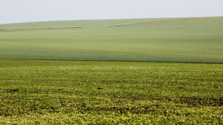 Из-за отсутствия дождей фермеры поздно засеяли озимые культуры.