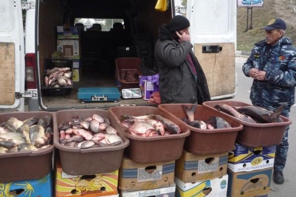 В 70-80% случаев продавцы живой рыбы на рынках не имеют необходимых документов.