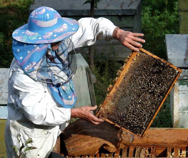 Программа внедряется в рамках проекта «Конкурентоспособное сельское хозяйство Молдовы».