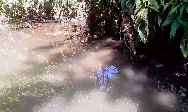 В реку Бык сливают сточные воды.
