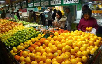 În cadrul şedinţei de astăzi a Parlamentului PL şi PSRM au respins proiectul de lege care prevede subordonarea Agenţiei pentru securitate alimentară