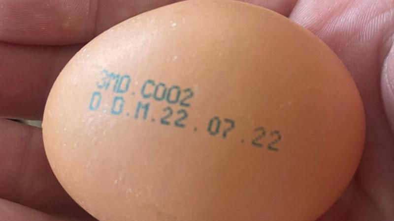 Партия яиц изъята из продажи после обнаружения сальмонеллеза у кур.