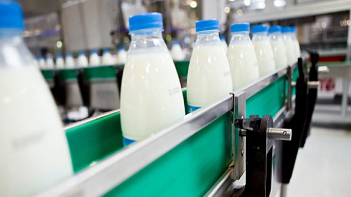 В основном молокозаводы покупают продукцию у частных хозяйственников.