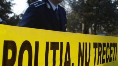 Инцидент произошел вчера в одном из центральных парков.