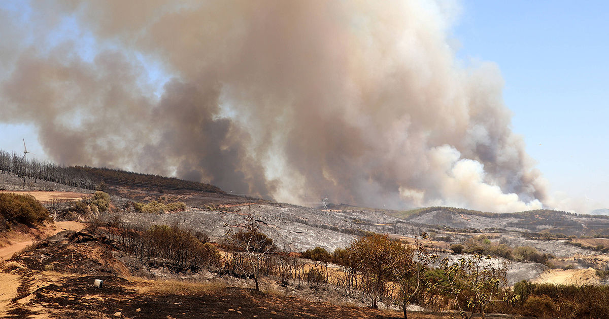 Peste 20 de persoane, reținute în Turcia din cauza incendiilor forestiere.