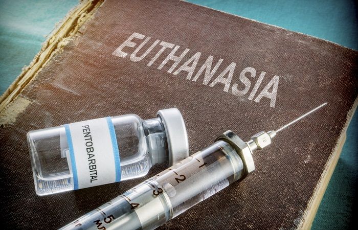 В Нидерландах оправдан врач, которого обвинили в убийстве за проведение эвтаназии.