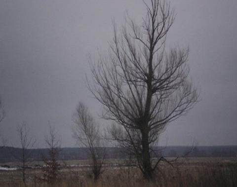 Pentru astăzi, 8 decembrie, meteorologii anunță precipitații slabe pe întreg teritoriul țării.