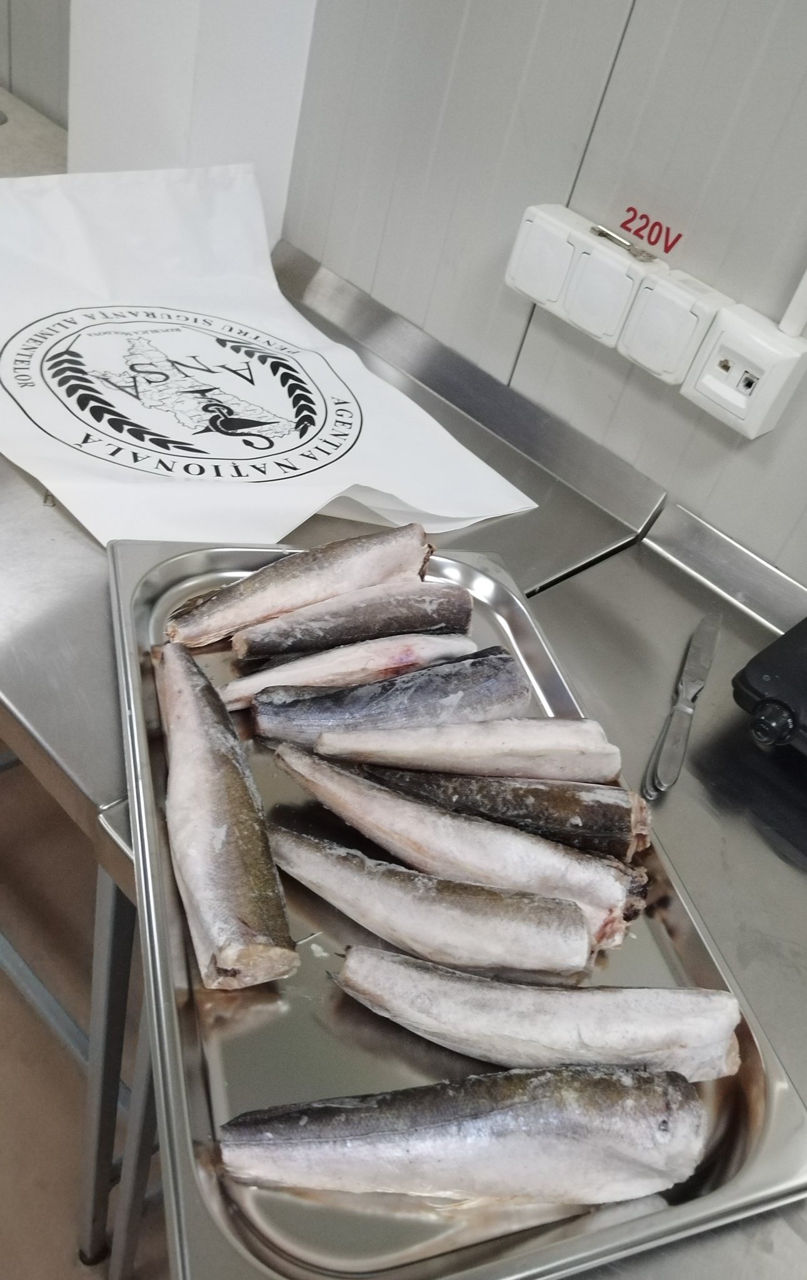 В Молдову пытались ввезти рыбу, зараженную паразитами.