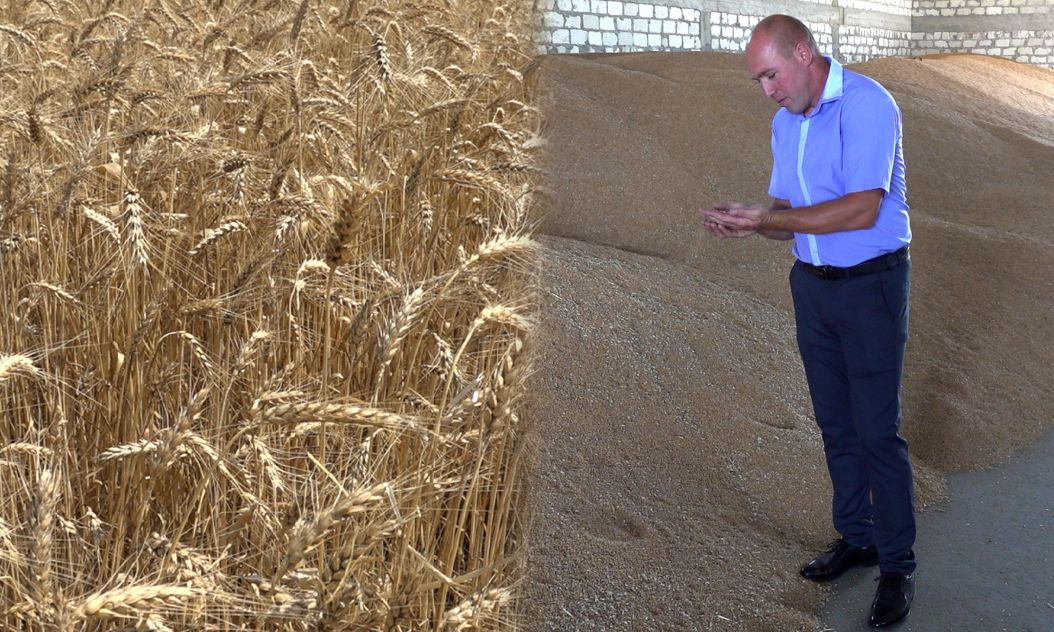 Фермер из Рышкан хранит пшеницу в амбаре из-за низкой рыночной цены.