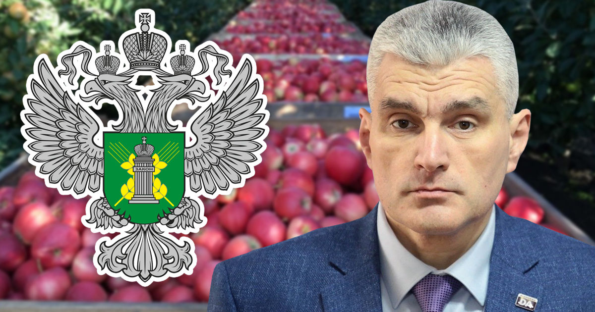 Слусарь о решении Россельхознадзора: Грубая попытка унизить Молдову.