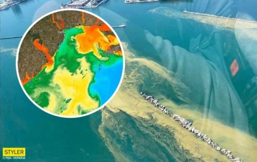 В сети показали цветение Черного моря из космоса.