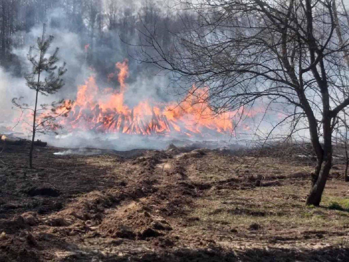 Украинские спасатели продолжают тушить пожар в районе ЧАЭС.