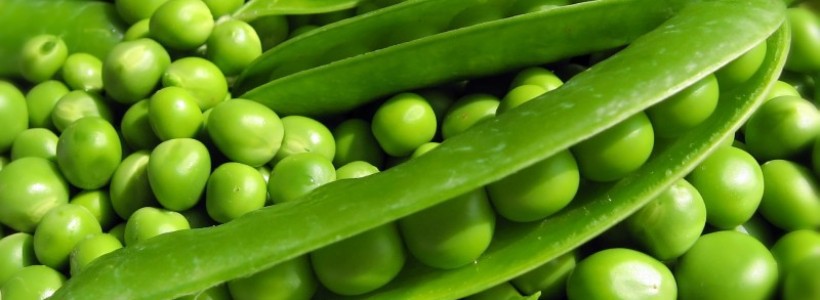 Россия остается основным рынком сбыта для консервированной продукции Молдовы.