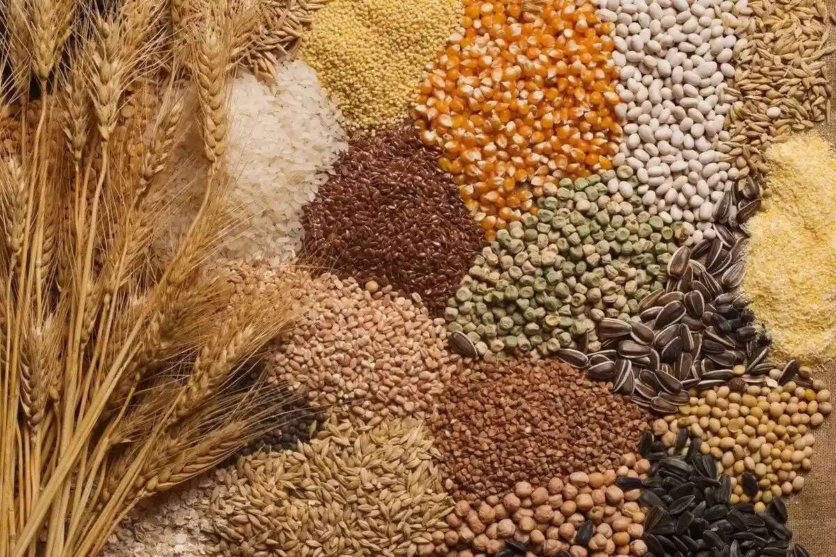 Peste 82% din exporturile pe cale navală sunt cereale și oleaginoase.