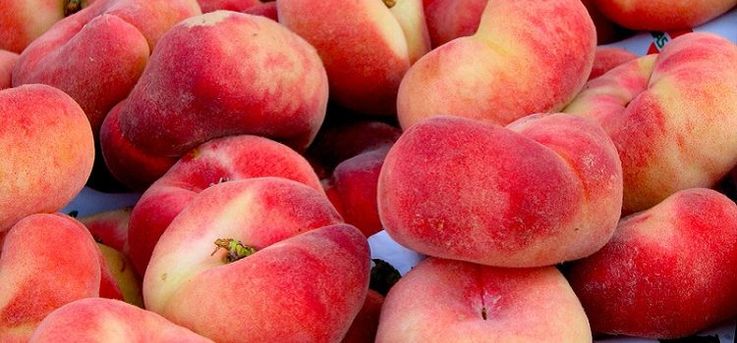 В Молдове планируют начать выращивать инжирные персики
