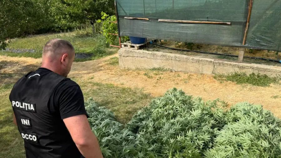 Doi bărbați din Căușeni sunt suspectați de trafic de droguri.