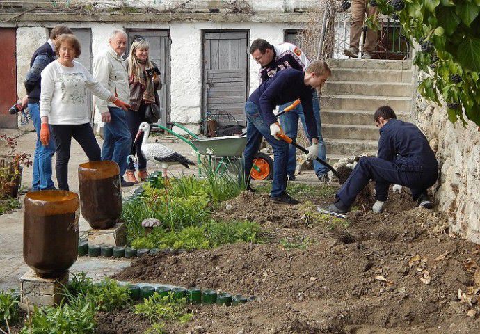 Высаживают  лозу винограда трех сортов — «мускат Оттонель», «мускат Италия» и  «Молдова».