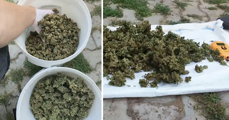 В суд направят дело отца и сына, у которых нашли наркотики на 300 тысяч леев. Коллаж Point.md.