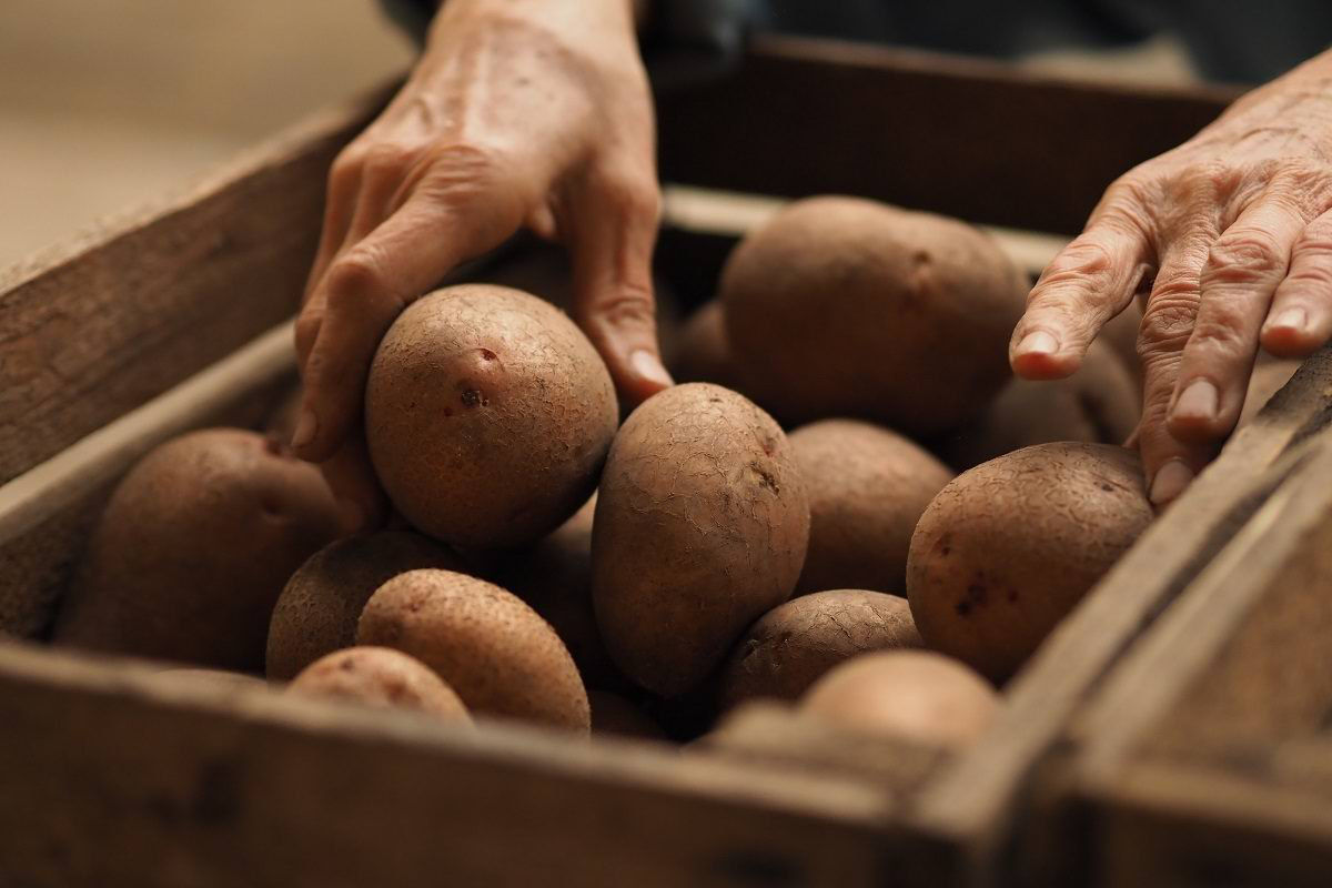Продажи раннего картофеля в Молдове стартовали с низкого ценового уровня.