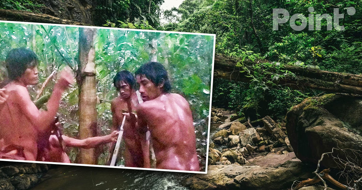În pădurile din Brazilia a fost realizată pentru prima dată o fotografie a tribului izolat Massaco.