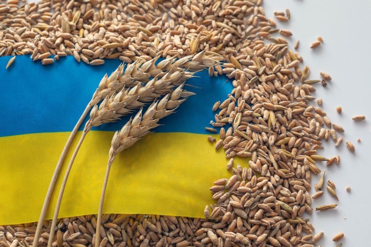 Румыния согласилась на компромисс Еврокомиссии по импорту украинского зерна.