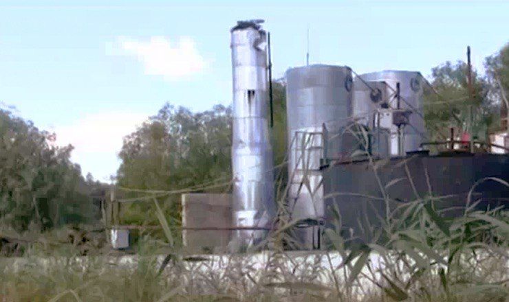 Экосистема заповедника "Нижний Прут" в Кагуле находится под угрозой. 