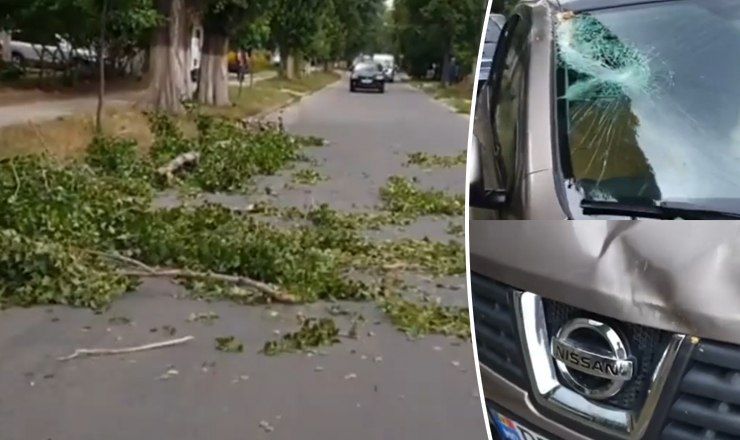 В результате удара лобовое стекло и капот автомобиля были повреждены.