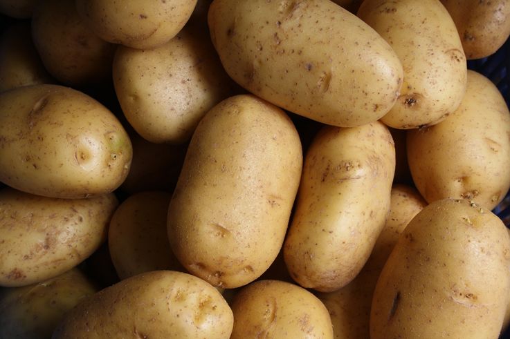 ANSA va intensifica controalele la importul cartofilor din Belarus
