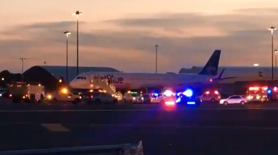 "Пропавшим" оказался лайнер авиакомпании JetBlue, который готовился к вылету в Лос-Анджелес.