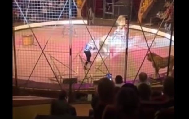 Инцидент произошел на арене на глазах у детей, но дрессировщик продолжил свое выступление.